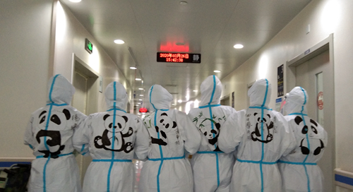 6133814bb2f37aa83272a855d3129ff1.jpg 熊猫天团2_副本.jpg